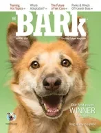 BARk coverage