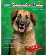The Phoenix Dog coverage